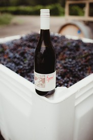 2020 Estate Cab Franc